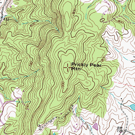 Topographic Map of Prickly Pear Mountain, VA