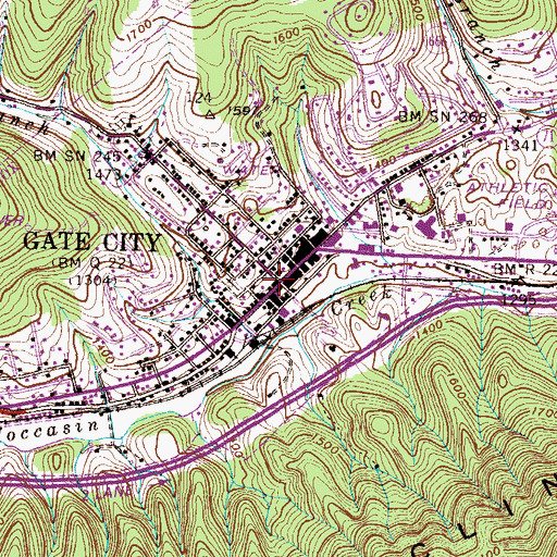 Topographic Map of Gate City, VA