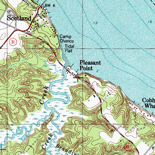 Topographic Map of Pleasant Point, VA