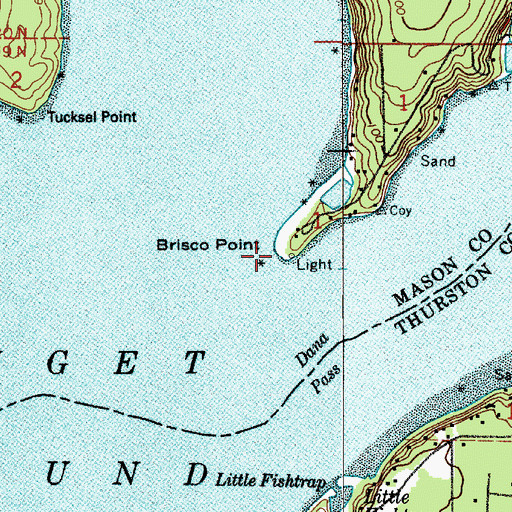 Topographic Map of Brisco Point, WA