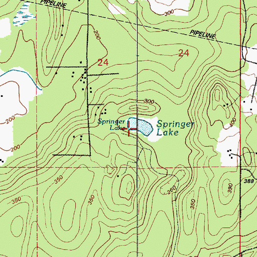 Topographic Map of Springer Lake, WA