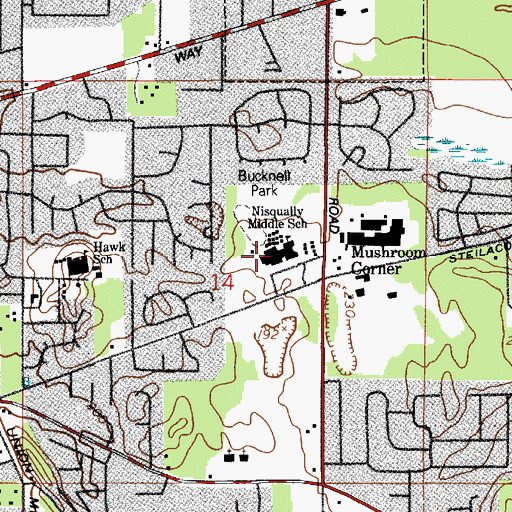 Topographic Map of Nisqually Middle School, WA