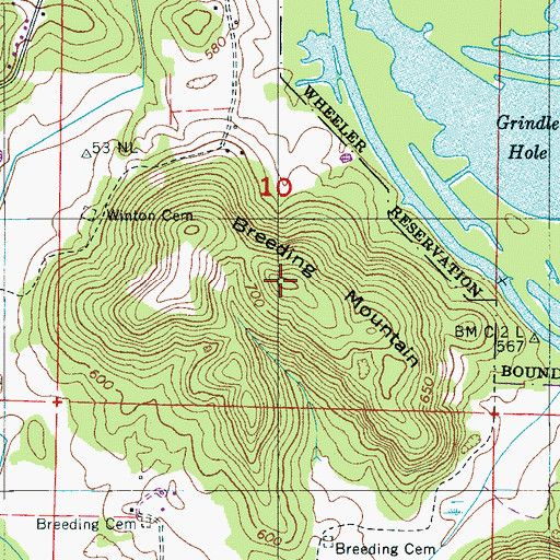 Topographic Map of Breeding Mountain, AL