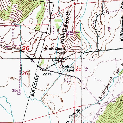 Topographic Map of Nelson Chapel, AL