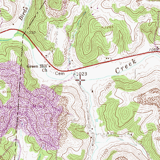 Topographic Map of Arnold Run, WV