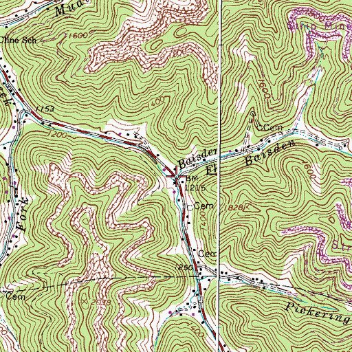 Topographic Map of Baisden Fork, WV