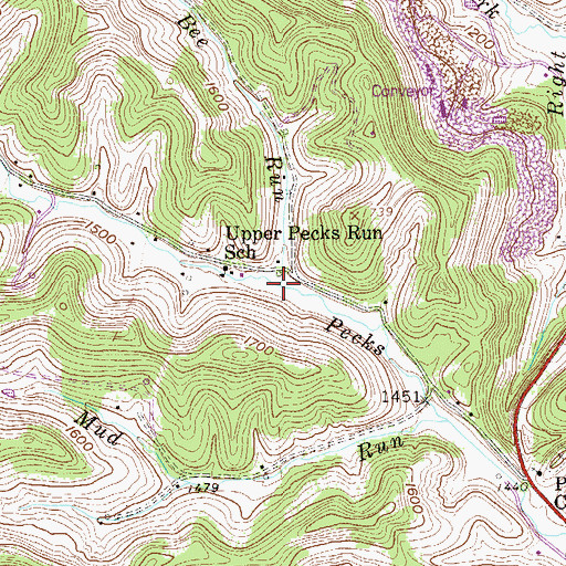 Topographic Map of Bee Run, WV