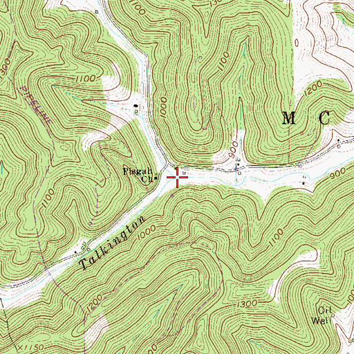 Topographic Map of Beverlin Fork, WV