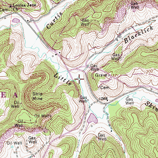 Topographic Map of Blacklick Run, WV