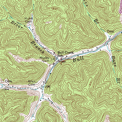 Topographic Map of Briar Branch, WV