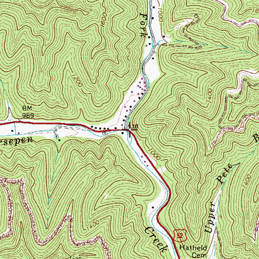 Topographic Map of Browning Fork, WV