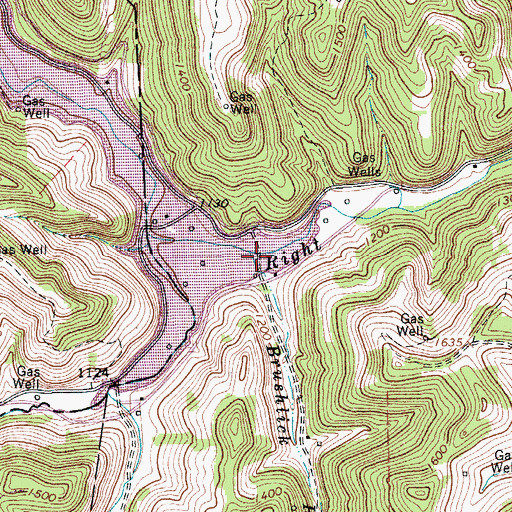 Topographic Map of Brushlick Run, WV