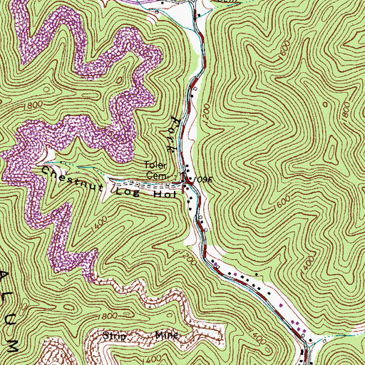 Topographic Map of Chestnut Log Hollow, WV
