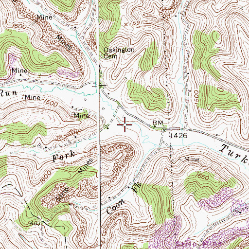 Topographic Map of Coon Fork, WV