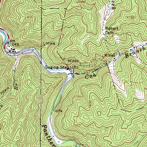 Topographic Map of Cub Branch, WV