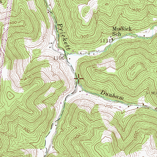 Topographic Map of Dunham Lick Run, WV