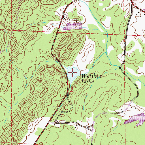 Topographic Map of Welikee Lake, AL