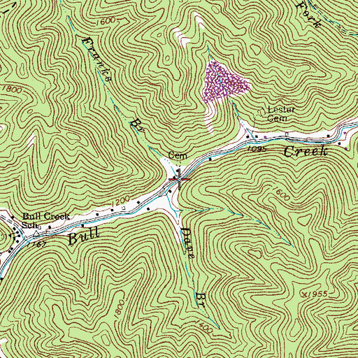 Topographic Map of Franks Branch, WV