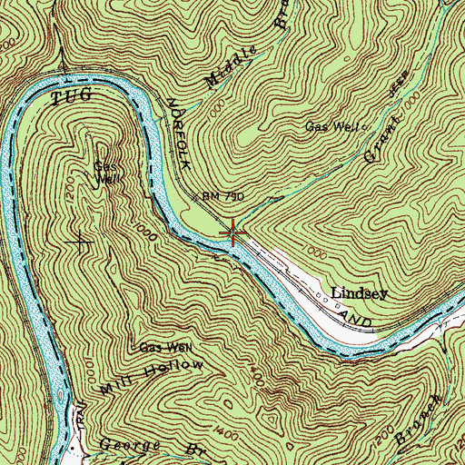 Topographic Map of Grant Branch, WV