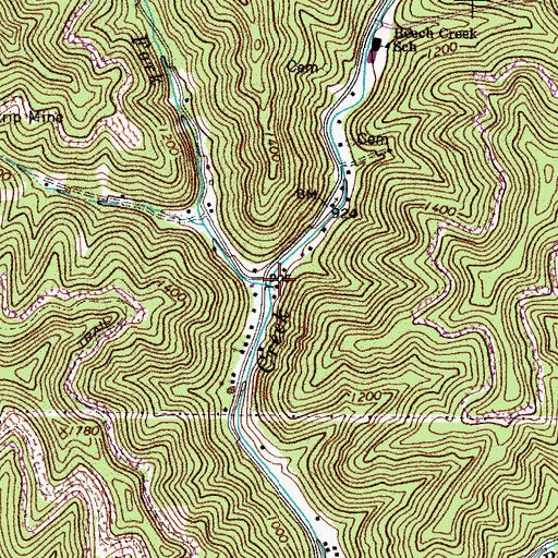 Topographic Map of Grapevine Fork, WV