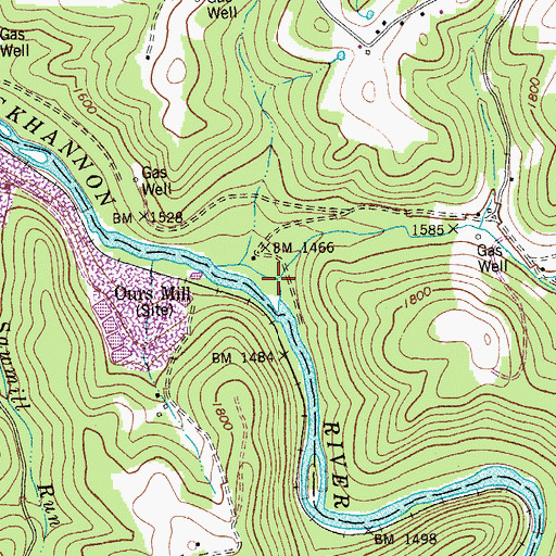 Topographic Map of Grassy Run, WV