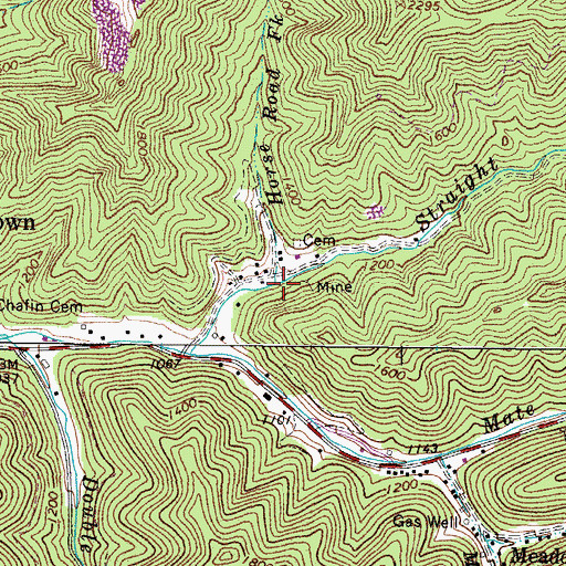 Topographic Map of Horse Road Fork, WV