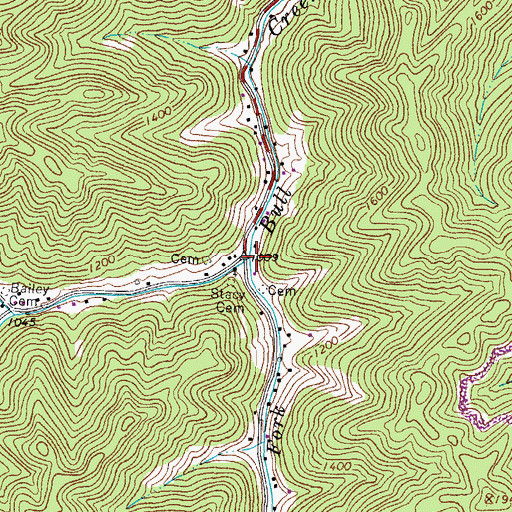 Topographic Map of Left Fork Bull Creek, WV