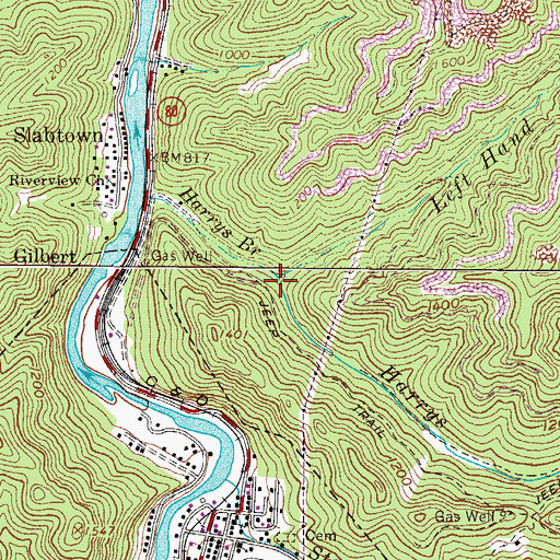 Topographic Map of Left Hand Fork Harrys Branch, WV