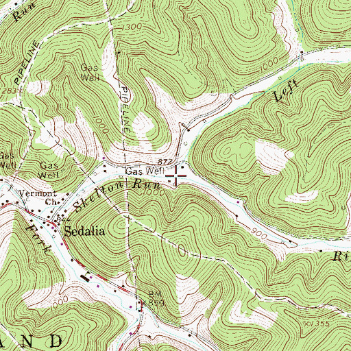Topographic Map of Left Prong Skelton Run, WV