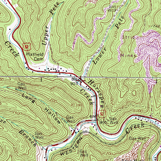 Topographic Map of Lower Pete Branch, WV