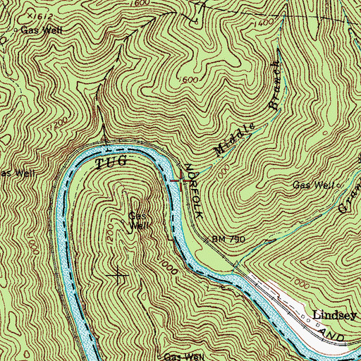 Topographic Map of Middle Branch, WV