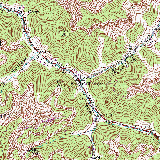 Topographic Map of Mudlick Branch, WV