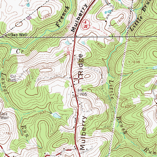 Topographic Map of Mulberry Ridge, WV