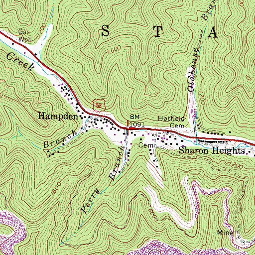 Topographic Map of Perry Branch, WV