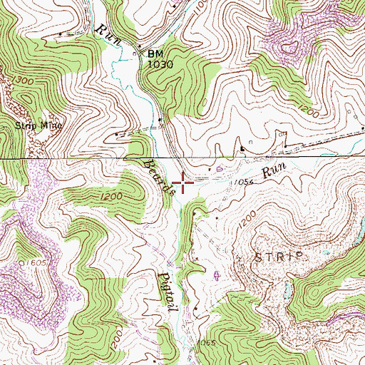 Topographic Map of Pigtail Run, WV
