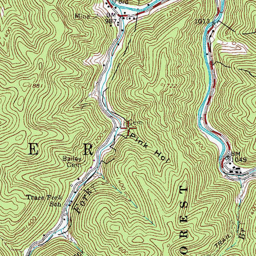 Topographic Map of Pink Hollow, WV