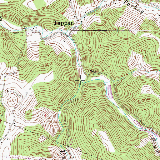 Topographic Map of Plummer Run, WV