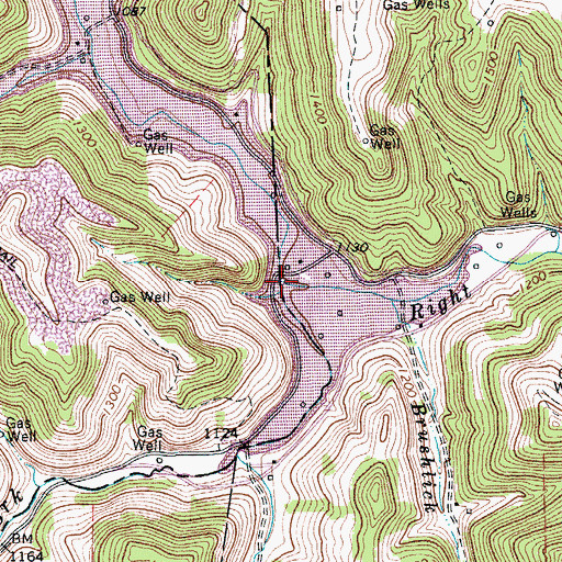Topographic Map of Pringle Fork, WV