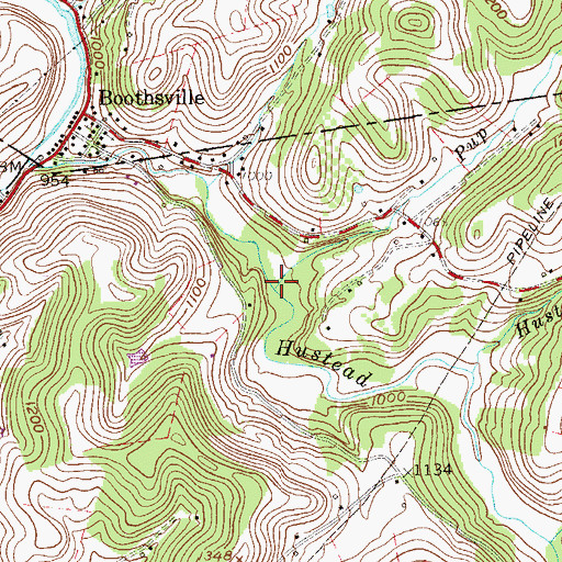 Topographic Map of Pup Run, WV