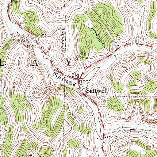Topographic Map of Saltwell, WV