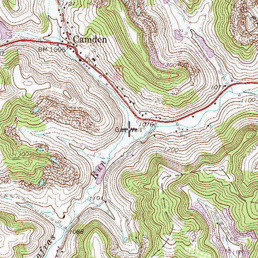 Topographic Map of Sassafras Run, WV