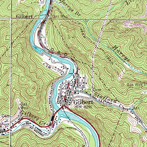 Topographic Map of Stafford Branch, WV