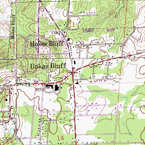 Topographic Map of Hokes Bluff, AL