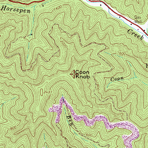 Topographic Map of Coon Knob, WV