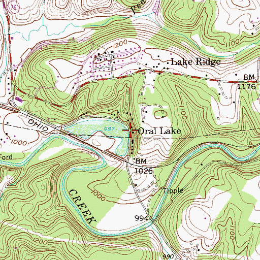Topographic Map of Oral Lake, WV