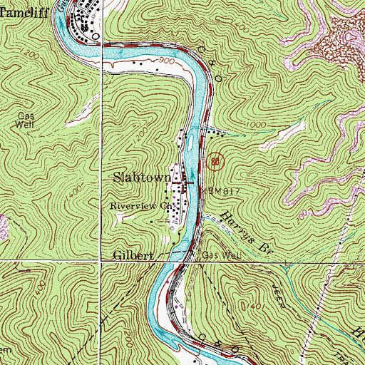 Topographic Map of Slabtown, WV