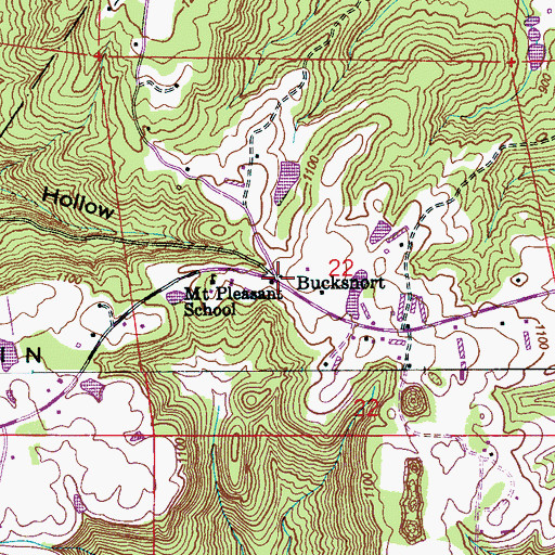 Topographic Map of Bucksnort, AL