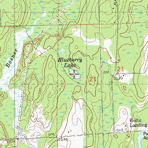 Topographic Map of Blueberry Lake, WI