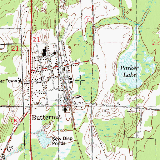 Topographic Map of Butternut, WI