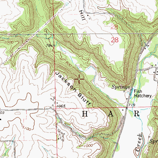 Topographic Map of Jackson Bluff, WI